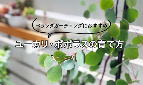 皮下脂肪增厚警惕四种病-皮下脂肪怎么增厚网- 皮下脂肪怎么增加知识,分享皮下脂肪增厚的图片